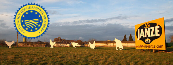 notre-histoire-les-fermes-de-janz