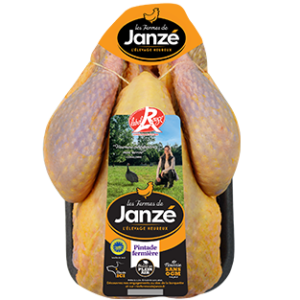 pintade-janze