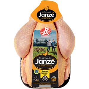 poulet-jaune-janze