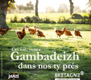 DepaysezvousenBretagne dans les prés de Janzé