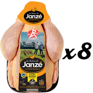 poulet-jaune-janze x8